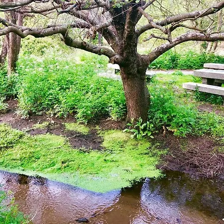 Junto Camino De Santiago,1ª Linea De Playa 公寓 *