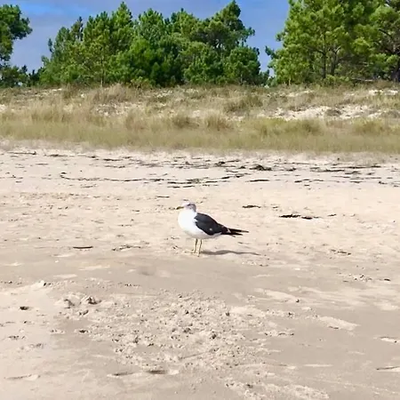 公寓 Junto Camino De Santiago,1ª Linea De Playa