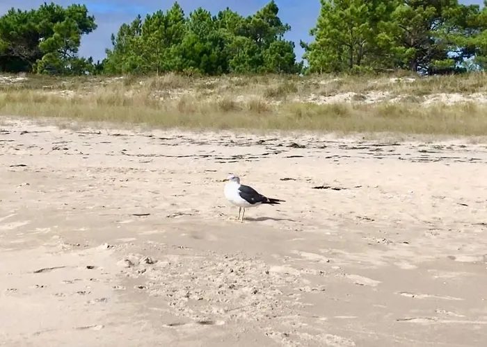 Διαμέρισμα Junto Camino De Santiago,1ª Linea De Playa