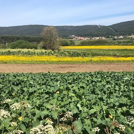 דירה Junto Camino De Santiago,1ª Linea De Playa פיניסטרה