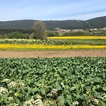 아파트 Junto Camino De Santiago,1ª Linea De Playa 피니스테레