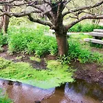 Junto Camino De Santiago,1ª Linea De Playa 아파트 *